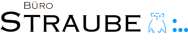 Büro Roland Straube: Managementberatung – Mediationsstelle Rostock – Systemische Bildungsstätte